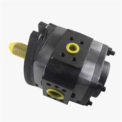 VOITH IPV-3-8-100 girpumpe