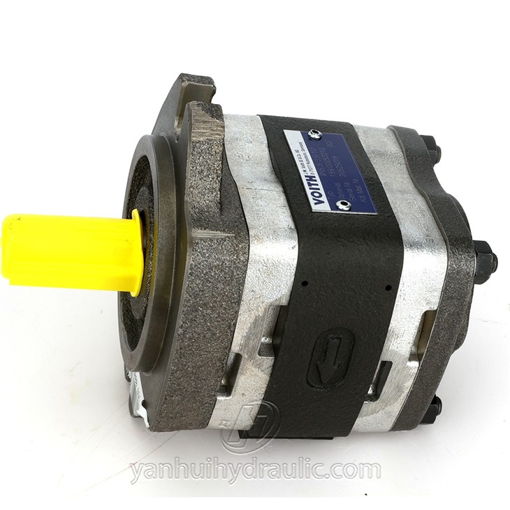 Voith IPV Pump